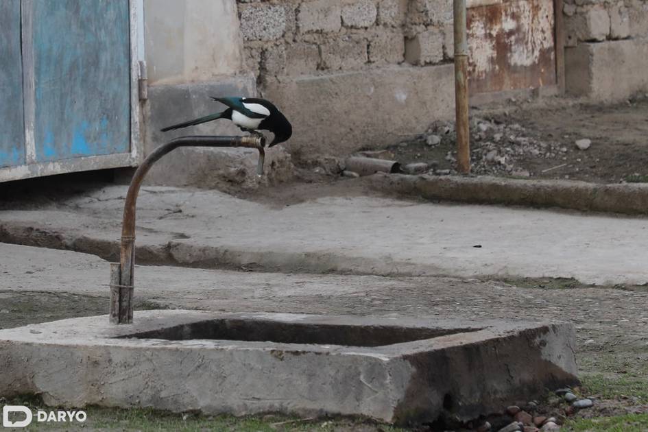 Uzbekistan’s UzHydromet calls Central Asia drought warnings speculative